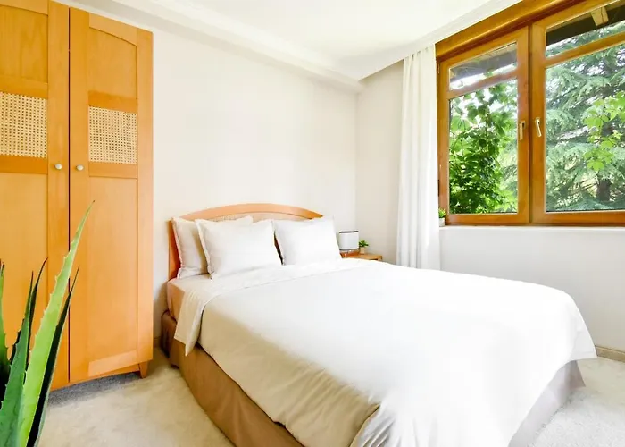 아파트 Santa Marina - Designer With Sea View Terrace & Pools 소조폴